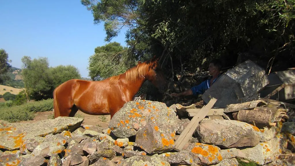 Alloggio per agriturismo Genna E Corte Villa Làconi